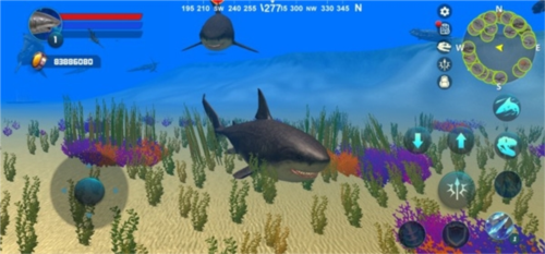 巨齿鲨模拟器破解版