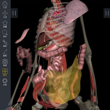 3Dbody解剖手机版2