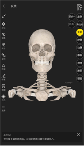 3Dbody解剖手机版5