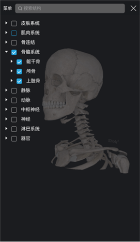 3Dbody解剖手机版7