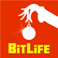 bitlife2024最新版