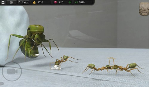 蚂蚁模拟大亨2024官方版截图1