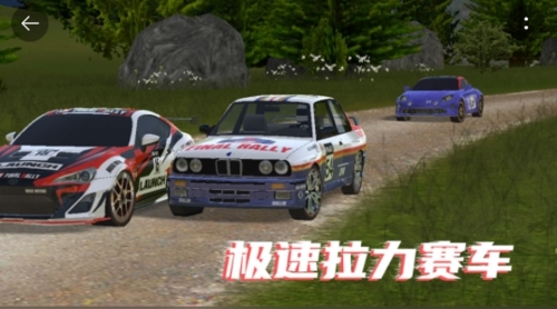 极速拉力赛车中文版图片1