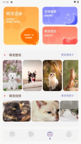 猫咪聊天翻译器app宣传图