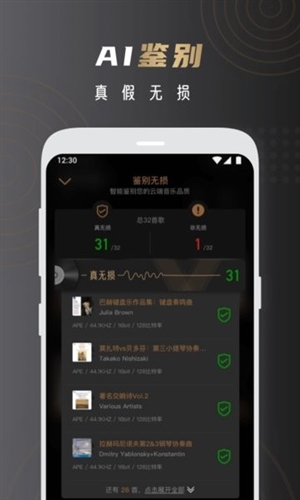 云赏HIFI app宣传图