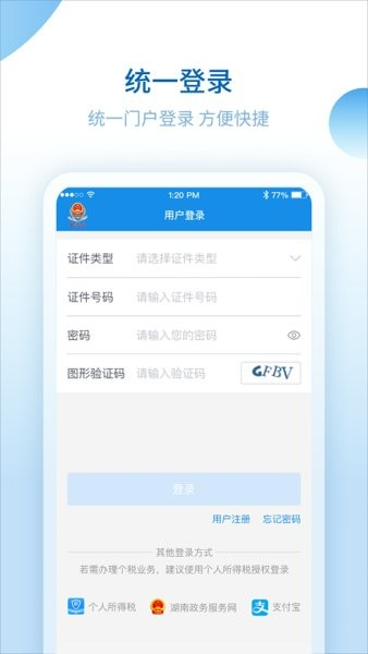 湖南税务服务平台app截图2
