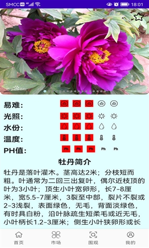 绿植花卉app宣传图