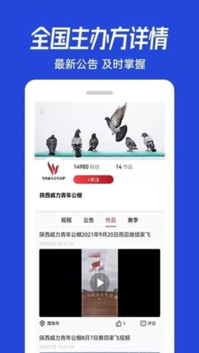青鸽网app宣传图