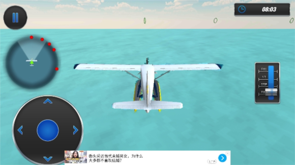 海平面飞行模拟器图片
