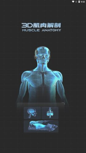 3D肌肉解剖app截图1
