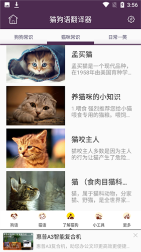 猫狗语翻译器app4